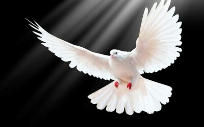 Los nombres del Espíritu Santo