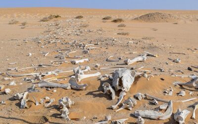 ¿Tu vida financiera está muerta? Descubre cómo resucitarla